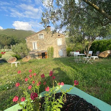 Casa Orani Villa Ponte-Leccia Exteriör bild
