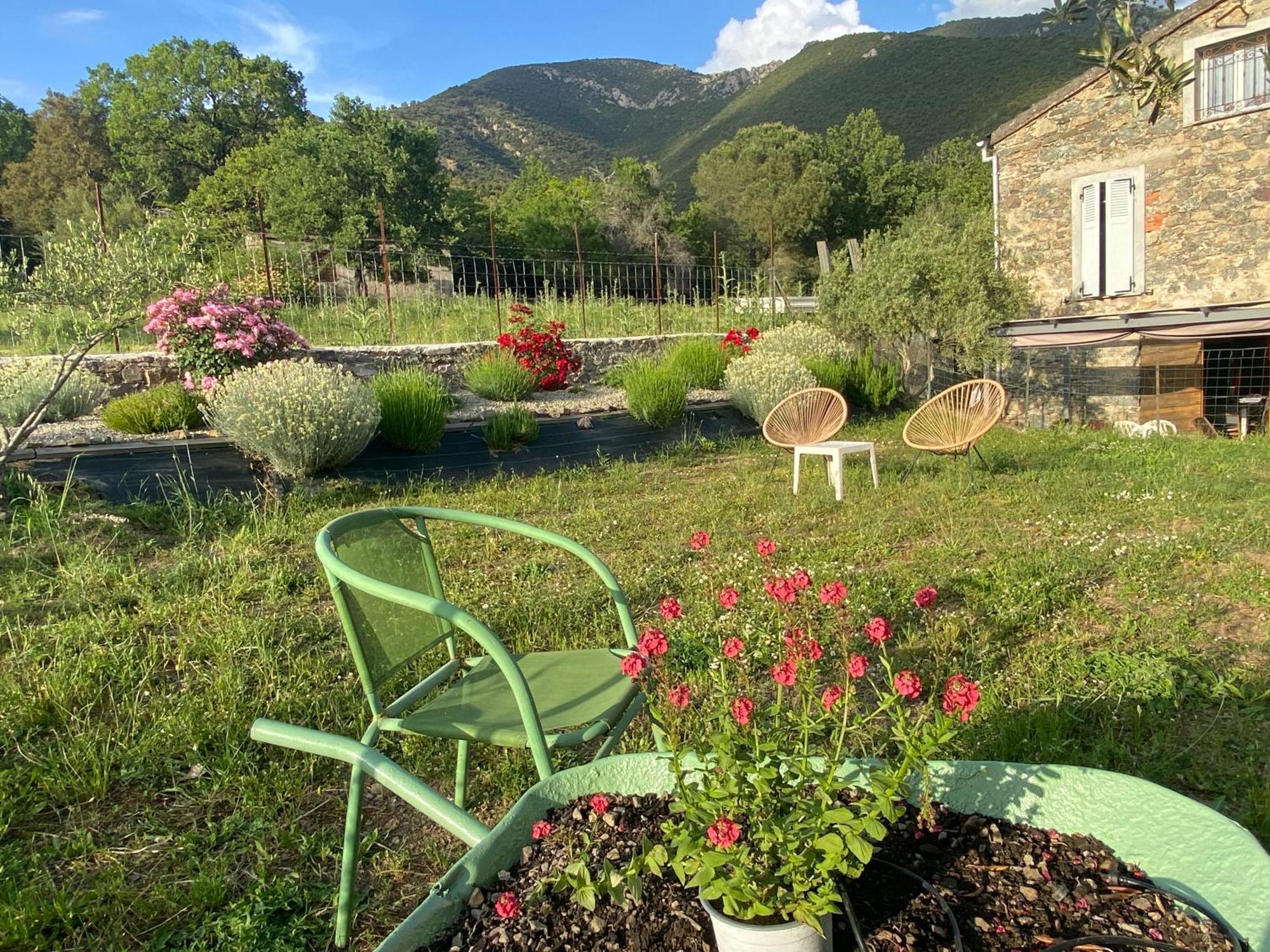 Casa Orani Villa Ponte-Leccia Exteriör bild